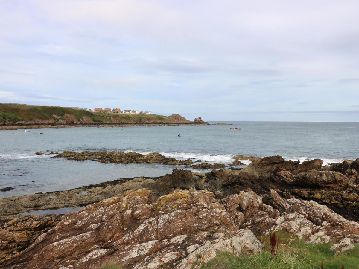 Meadow Lodge Coldingham Экстерьер фото